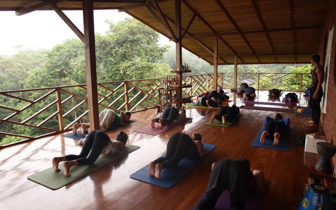 YOGA 4